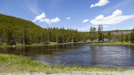 Gibbon River im Yellowstone NP