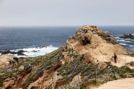  Point Lobos State Reserve