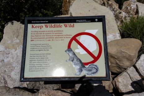 Warnschild Keep Wildlife Wild