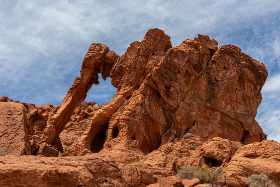 Elefant Rock im Valley of Fire