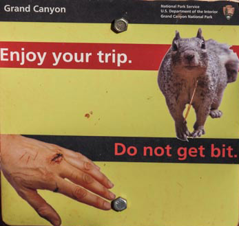 Warnschild Squirrel-Biss in Grand Canyon