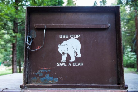 Bärensicherer Container